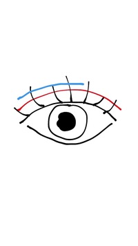 一重まぶたで悩んでいる学生です 私は二重になりたくてアイテー Yahoo 知恵袋