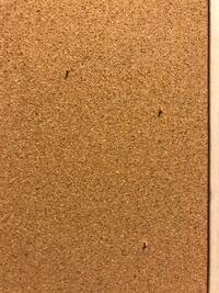 受賞 惑星 期待する コルクボード 画鋲 突き抜ける Bellybelt Jp