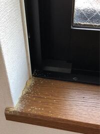 カビが生えてしまった部屋に寝ることは良くないでしょうか Yahoo 知恵袋