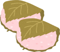 桜餅に使われてる桜の葉の塩漬けって 桜が満開の時期にはどう考 Yahoo 知恵袋