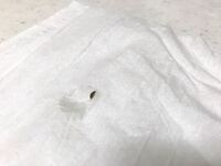 粘着式ハエ取り 吊るすだけ カモ井加工紙 コバエ取り 通販モノタロウ