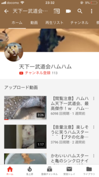 ハムスターを嫌いになりそう自己嫌悪好きでハムスターを飼ったのに ハムスタ Yahoo 知恵袋