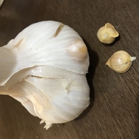 にんにくを育てたら 固い小片が吹き出物のようについていました 根の先につ Yahoo 知恵袋
