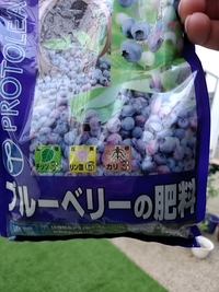 このブルーベリーの肥料には 土を酸性にする効果はありますか 生理的 Yahoo 知恵袋