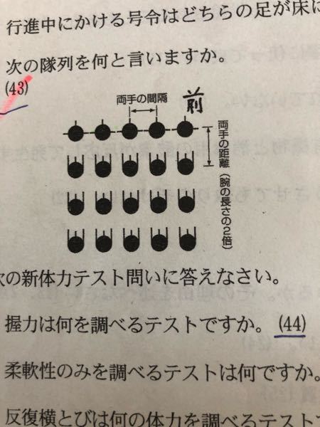 体育の集団行動についてです この隊列はなんですか また Yahoo 知恵袋