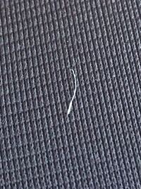 18歳女眉毛に白髪 が一本生えていたんですけど何かの病気の可能 Yahoo 知恵袋