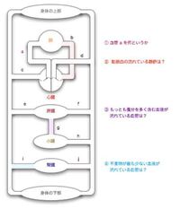 明日テストがあるのですがこの血液循環の図の順番が分かりません Yahoo 知恵袋