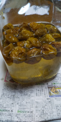 梅シロップの加熱後のにごりについて教えて下さい 梅シロップを作りました 材料 Yahoo 知恵袋