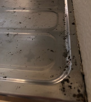 引越し先のシンク周りが汚いです この黒い汚れは何が原因ですか Yahoo 知恵袋