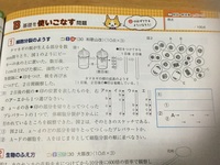 中学理科植物の 根の先端寄りの細胞 と 根元よりの細胞 では根のの先端寄 Yahoo 知恵袋