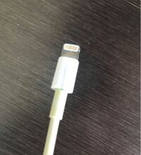 Iphoneの充電ケーブルの中から青緑色の汁が出てきましたがこれは何です Yahoo 知恵袋