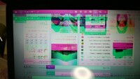 ノートパソコンの画面が二重になり 色がピンク色とグリーンの二色が重なり Yahoo 知恵袋