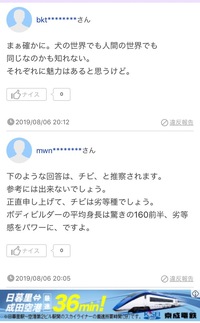 なぜ女性は低身長の男は無理だと思っているのに 身長なんて関係ないよ な Yahoo 知恵袋