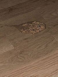 猫の嘔吐について質問です 我が家の愛猫は2日に1回くらいのペー Yahoo 知恵袋