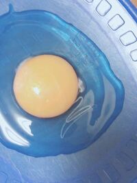 これはカラザですか 卵を割ったら糸状のものがついていました 何かわかる方 Yahoo 知恵袋
