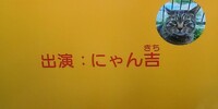 面白い名前を探しています 何かみんなが爆笑するような名前ありますか Yahoo 知恵袋