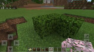 マイクラpeでテクスチャを自作したのですが 手持ちには反映されるのにいざ Yahoo 知恵袋