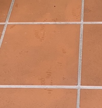 玄関のテラコッタタイルについた足跡が 何をやってもとれません 家族がクロ Yahoo 知恵袋