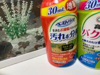 今水槽を空回しして立ち上げてるところです 昨日バクテリア剤を入れたら細かい Yahoo 知恵袋