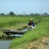 用水路で魚釣りをすることは許可されているのでしょうか Yahoo 知恵袋