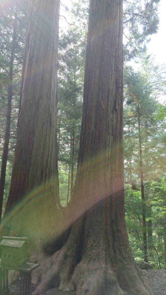 昨日家族で三峯神社に参拝しに行きました。私が奥宮に参拝しにいっ 
