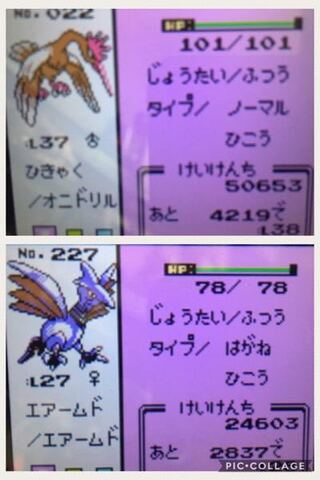 ダウンロード エアームド エメラルド ポケモンの壁紙