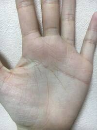 頭脳線の真ん中が切れてるんですけど これはどういう事を意味してるんですか そ Yahoo 知恵袋