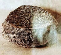 ぬいぐるみの洗濯方法教えてください ビーズクッションのよう Yahoo 知恵袋