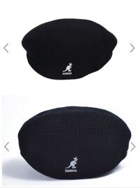 ｶﾝｺﾞｰﾙのﾊﾝﾁﾝｸﾞ504と507の違い教えて下さい 7の方が Yahoo 知恵袋