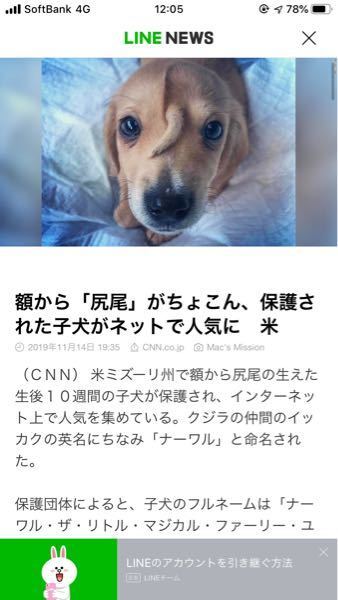 これってホメオティック突然変異は関係ありますか 可能性は Yahoo 知恵袋