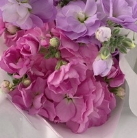 この花の名前はなにかご存知ですか お花屋さんで購入したこちらのお花の花言 Yahoo 知恵袋