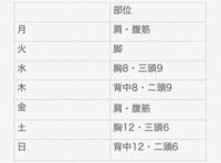 トレーニングの分割法についてです 今年でトレーニング3年目になる歳の Yahoo 知恵袋