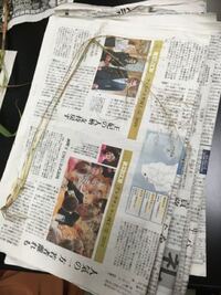 輝板石ってどこで拾えるのでしょう 河川敷とかで採取できるものでしょうか アクア Yahoo 知恵袋