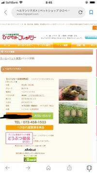 ペットショップで電話で犬取り置きとか出来ないですよね 当たり前で Yahoo 知恵袋