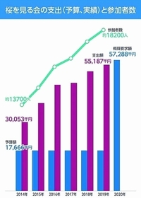 冬生まれの子にさくらはおかしいでしょうか さくらって名前可愛い Yahoo 知恵袋