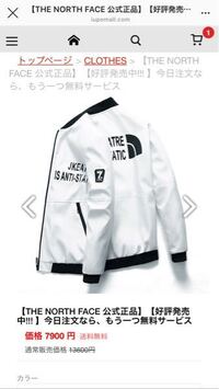 ノースフェイスとパタゴニアはどちらが人気あるの どちらも人気 Yahoo 知恵袋
