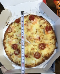 ドミノピザを頼んだらサイズが違うピザと種類が違うピザが来ました。
電話して対応してもらいました。
それで、そもそも画像のピザは何ピザですか？
メニューで見たこと無いので気になり投稿 しました！