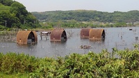 岡山県南部の海岸で海ほたるの見えるところを教えて下さい 海ほたるは春から夏に掛 Yahoo 知恵袋