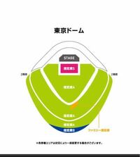 東京ドームでのライブの指定席について 指定席Sの場合、グラウンド上ですが
1人1席番号で
割り振りされるのでしょうか？

ステージ最前列だとスタンディングで
潰されてしまうイメージですが
大丈夫でしょうか？