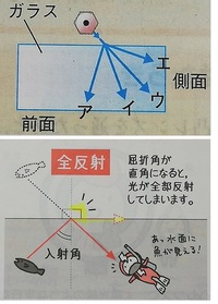 中１理科 光の屈折 ガラスを通して見た鉛筆 問題 上の添付図 Yahoo 知恵袋