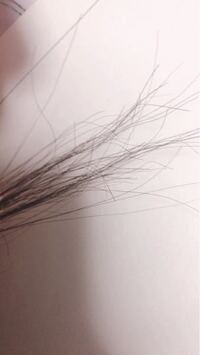 内側の髪の毛が折れ曲がるんですけど どうしたらなおりますか Yahoo 知恵袋