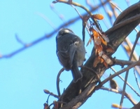 後ろ姿がカッコイイ男性後ろ姿が美しい女性は見返り美人と言いますが後 Yahoo 知恵袋