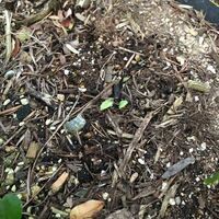 農薬でランネート45dfが生産中止になった 現在は販売して Yahoo 知恵袋