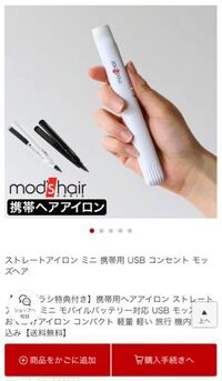 ディズニーにコードレスのヘアアイロンは持って行っても大丈夫でしょう Yahoo 知恵袋