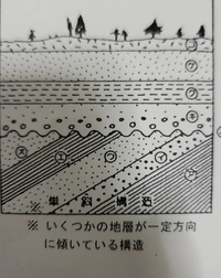 地層の順番を古い方から教えていただきたいです 地層累重の Yahoo 知恵袋