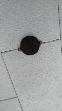 熱帯魚とかの水槽の蛍光灯はずっとつけっぱなしにしてるのが普通ですか Yahoo 知恵袋