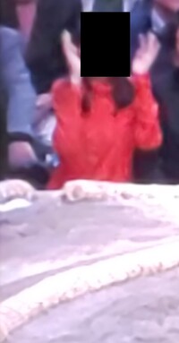 の 妖精 席 升
