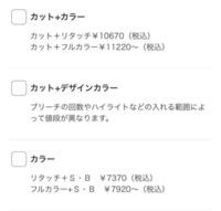 カット カラーの欄にかいてある カット リタッチとカット フルカラーの違 Yahoo 知恵袋