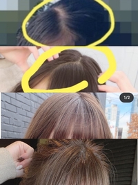 前髪を作り直したいです いまの私の前髪 写真は黄色丸 は過去に Yahoo 知恵袋