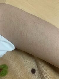 女子高校毛深すぎてつらい この質問に目を通していただき ありがとうございま Yahoo 知恵袋
